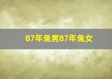 87年兔男87年兔女