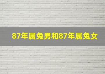 87年属兔男和87年属兔女