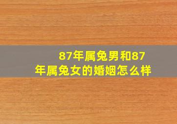 87年属兔男和87年属兔女的婚姻怎么样