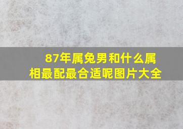 87年属兔男和什么属相最配最合适呢图片大全