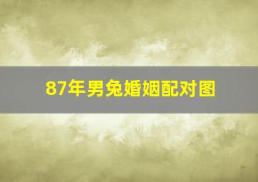 87年男兔婚姻配对图