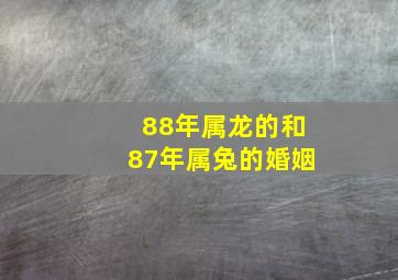 88年属龙的和87年属兔的婚姻