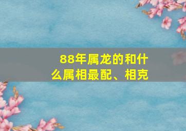 88年属龙的和什么属相最配、相克