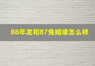 88年龙和87兔姻缘怎么样