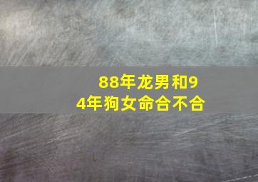 88年龙男和94年狗女命合不合