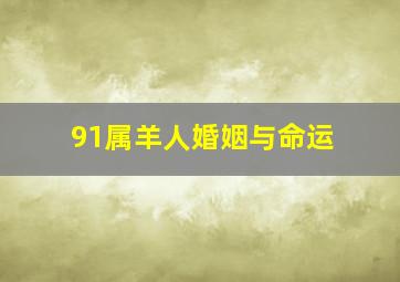 91属羊人婚姻与命运