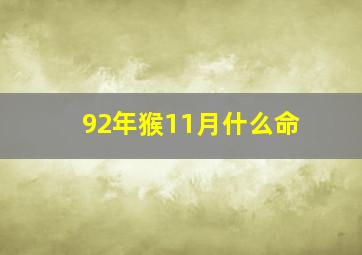 92年猴11月什么命