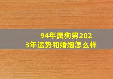 94年属狗男2023年运势和婚姻怎么样