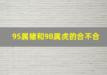 95属猪和98属虎的合不合