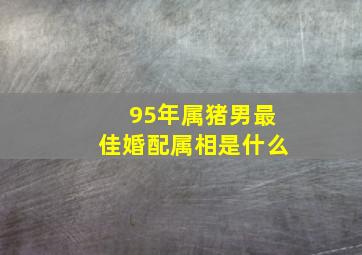 95年属猪男最佳婚配属相是什么