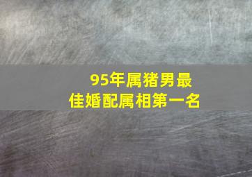 95年属猪男最佳婚配属相第一名