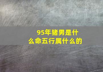 95年猪男是什么命五行属什么的