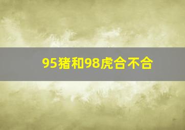 95猪和98虎合不合