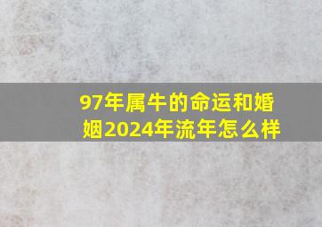 97年属牛的命运和婚姻2024年流年怎么样