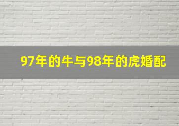 97年的牛与98年的虎婚配