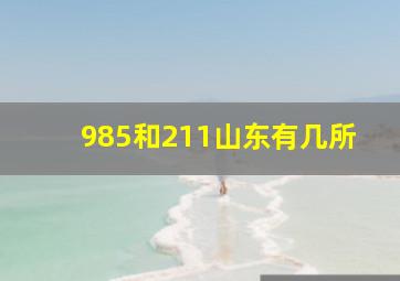 985和211山东有几所