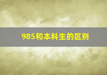 985和本科生的区别