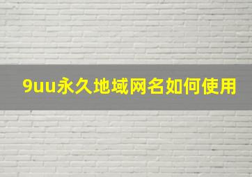 9uu永久地域网名如何使用