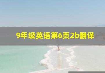 9年级英语第6页2b翻译