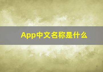 App中文名称是什么