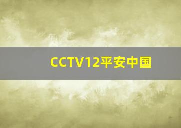 CCTV12平安中国