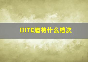 DITE迪特什么档次