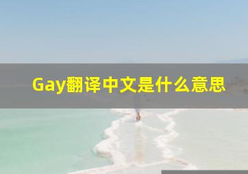 Gay翻译中文是什么意思