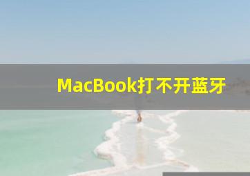 MacBook打不开蓝牙