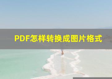 PDF怎样转换成图片格式