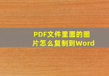 PDF文件里面的图片怎么复制到Word