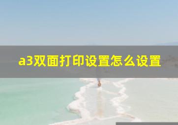 a3双面打印设置怎么设置