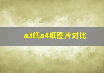 a3纸a4纸图片对比