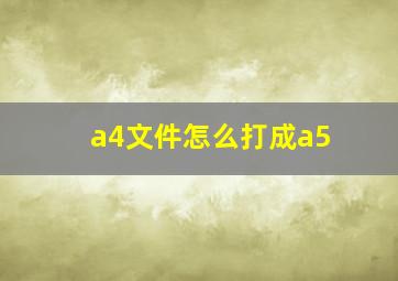 a4文件怎么打成a5