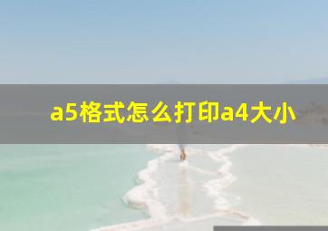 a5格式怎么打印a4大小