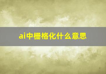 ai中栅格化什么意思