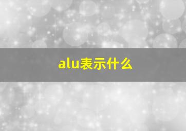 alu表示什么