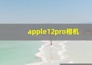 apple12pro相机