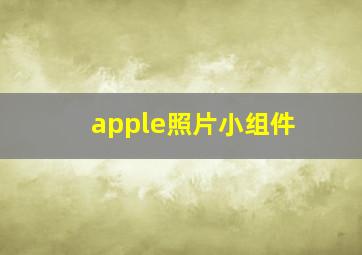 apple照片小组件