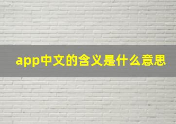 app中文的含义是什么意思