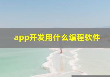 app开发用什么编程软件