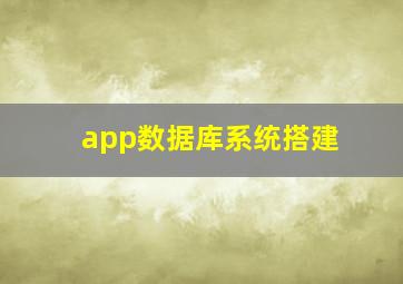 app数据库系统搭建