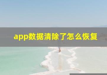 app数据清除了怎么恢复