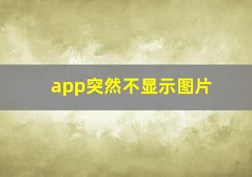 app突然不显示图片