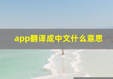 app翻译成中文什么意思