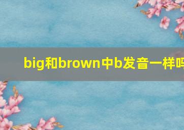 big和brown中b发音一样吗