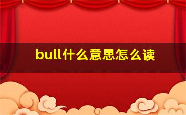 bull什么意思怎么读