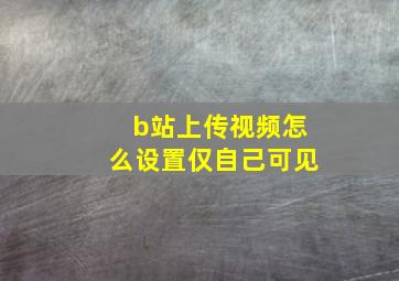 b站上传视频怎么设置仅自己可见