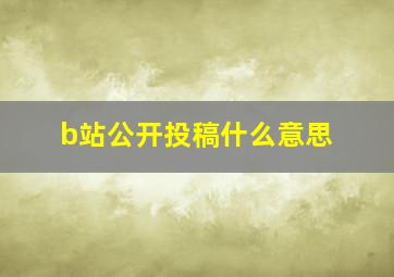 b站公开投稿什么意思