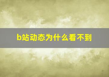 b站动态为什么看不到