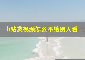 b站发视频怎么不给别人看